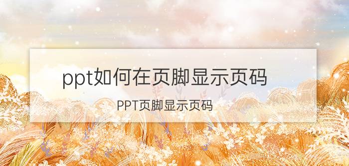 ppt如何在页脚显示页码 PPT页脚显示页码